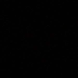 Meet your Posher, Trey